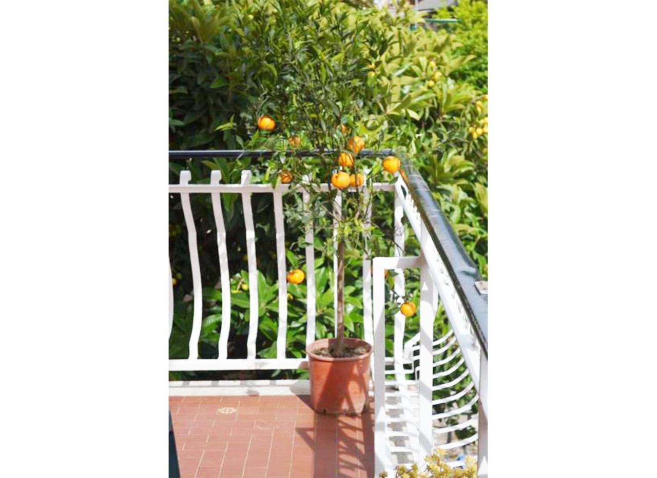 Casa Celeste Rome Luaran gambar